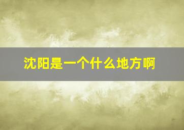 沈阳是一个什么地方啊