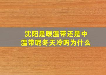 沈阳是暖温带还是中温带呢冬天冷吗为什么