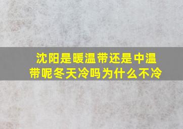 沈阳是暖温带还是中温带呢冬天冷吗为什么不冷