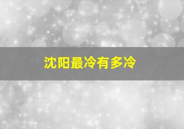 沈阳最冷有多冷