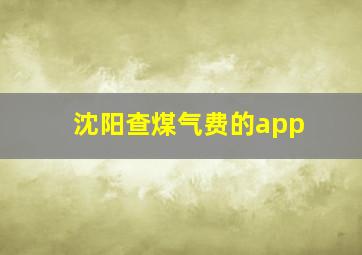 沈阳查煤气费的app