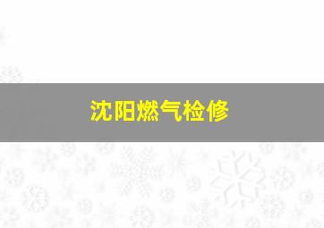 沈阳燃气检修