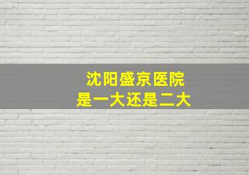 沈阳盛京医院是一大还是二大