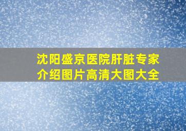 沈阳盛京医院肝脏专家介绍图片高清大图大全