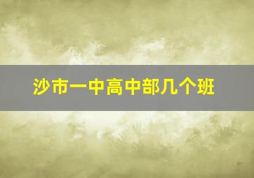 沙市一中高中部几个班