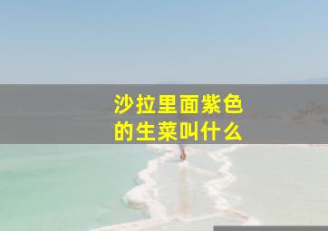 沙拉里面紫色的生菜叫什么