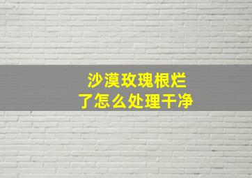 沙漠玫瑰根烂了怎么处理干净