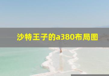 沙特王子的a380布局图