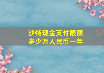 沙特现金支付限额多少万人民币一年