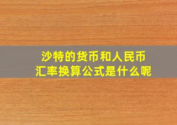 沙特的货币和人民币汇率换算公式是什么呢