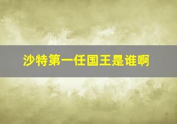 沙特第一任国王是谁啊