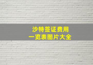 沙特签证费用一览表图片大全