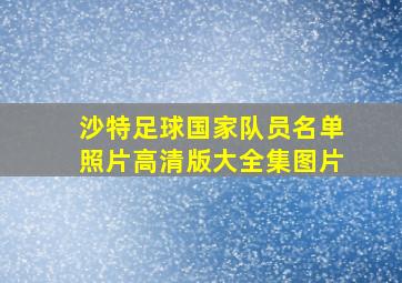 沙特足球国家队员名单照片高清版大全集图片