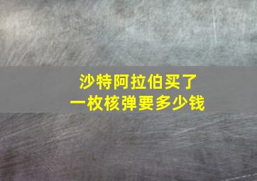 沙特阿拉伯买了一枚核弹要多少钱