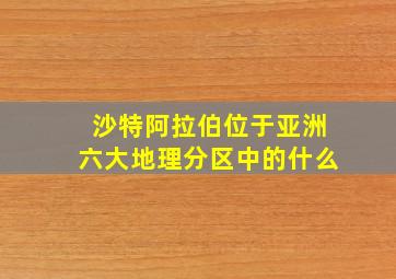 沙特阿拉伯位于亚洲六大地理分区中的什么