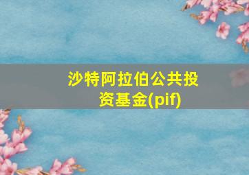 沙特阿拉伯公共投资基金(pif)