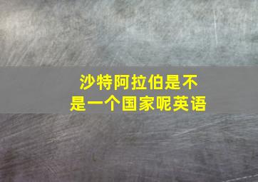 沙特阿拉伯是不是一个国家呢英语