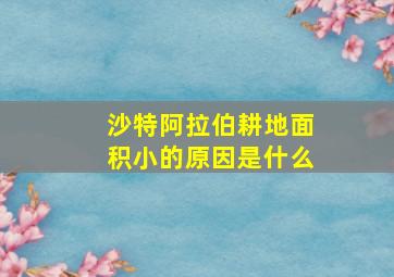 沙特阿拉伯耕地面积小的原因是什么