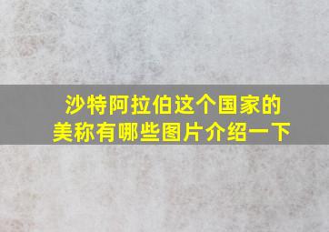 沙特阿拉伯这个国家的美称有哪些图片介绍一下