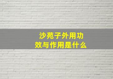 沙苑子外用功效与作用是什么