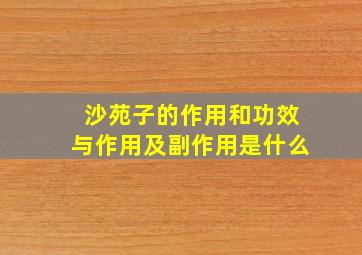 沙苑子的作用和功效与作用及副作用是什么