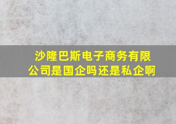 沙隆巴斯电子商务有限公司是国企吗还是私企啊