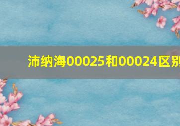 沛纳海00025和00024区别