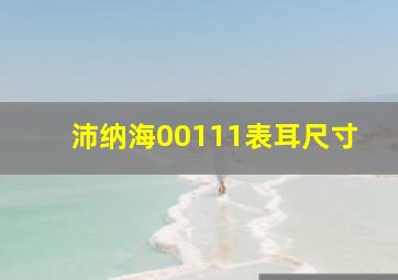 沛纳海00111表耳尺寸