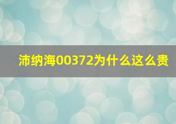 沛纳海00372为什么这么贵