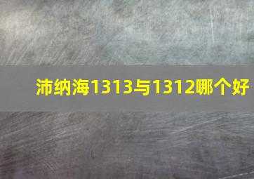 沛纳海1313与1312哪个好