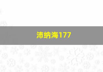 沛纳海177