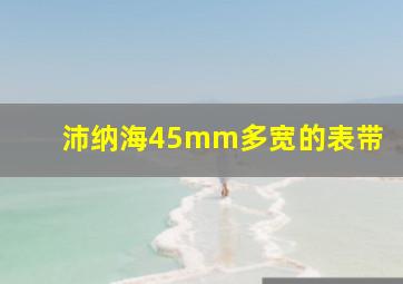 沛纳海45mm多宽的表带