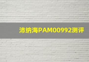 沛纳海PAM00992测评