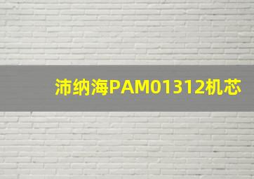 沛纳海PAM01312机芯