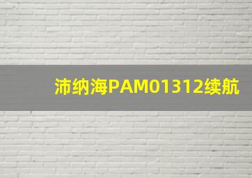 沛纳海PAM01312续航