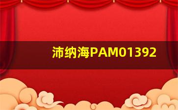 沛纳海PAM01392