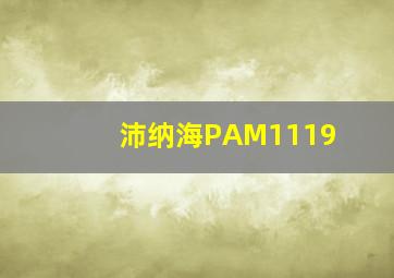 沛纳海PAM1119