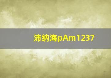 沛纳海pAm1237