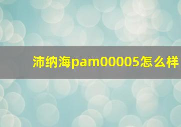 沛纳海pam00005怎么样