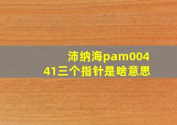 沛纳海pam00441三个指针是啥意思