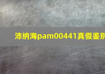 沛纳海pam00441真假鉴别