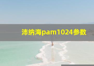 沛纳海pam1024参数