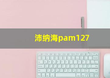 沛纳海pam127