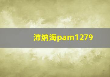 沛纳海pam1279