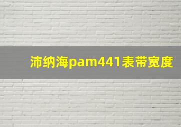 沛纳海pam441表带宽度