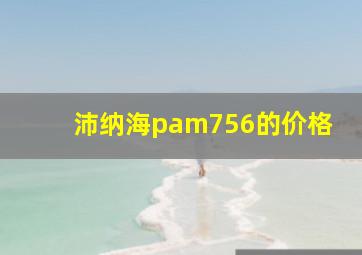 沛纳海pam756的价格