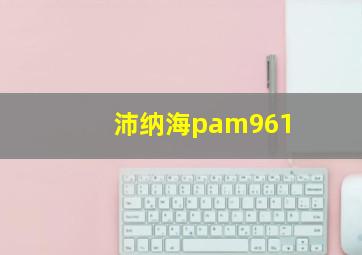 沛纳海pam961