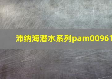 沛纳海潜水系列pam00961