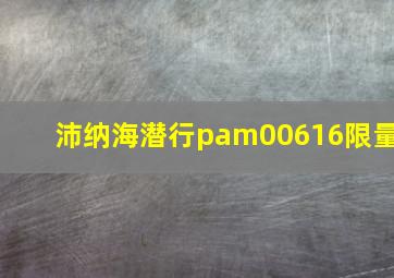 沛纳海潜行pam00616限量