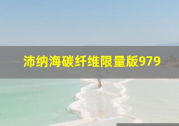 沛纳海碳纤维限量版979